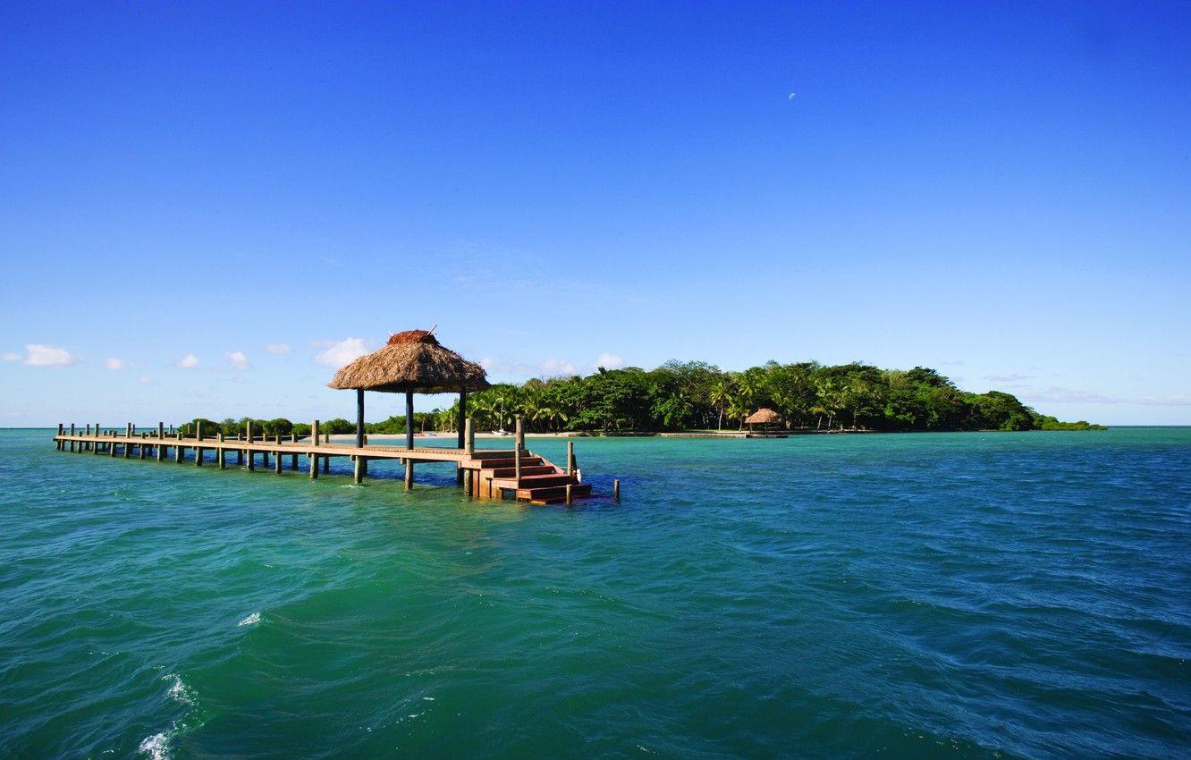 1332x850 Wallpaper palm trees, the ocean, island, pier, exotic, Fiji