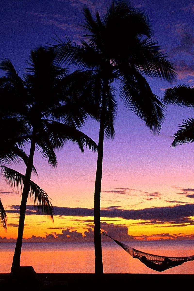 800x1200 Wallpaper Fiji, Palm Trees, Hammock, Evening, Decline