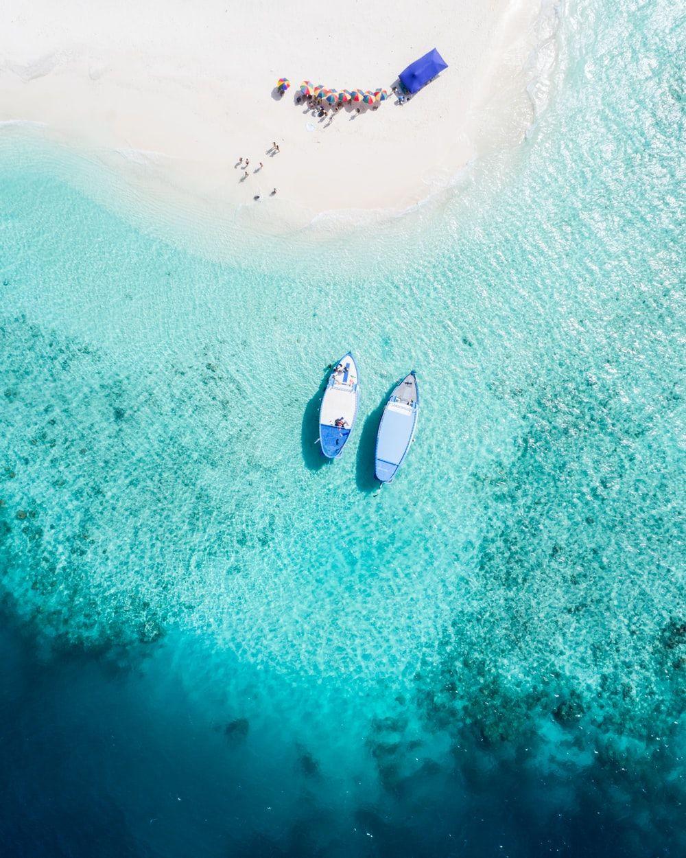 1000x1250 Fiji Picture [HD]. Download Free Image
