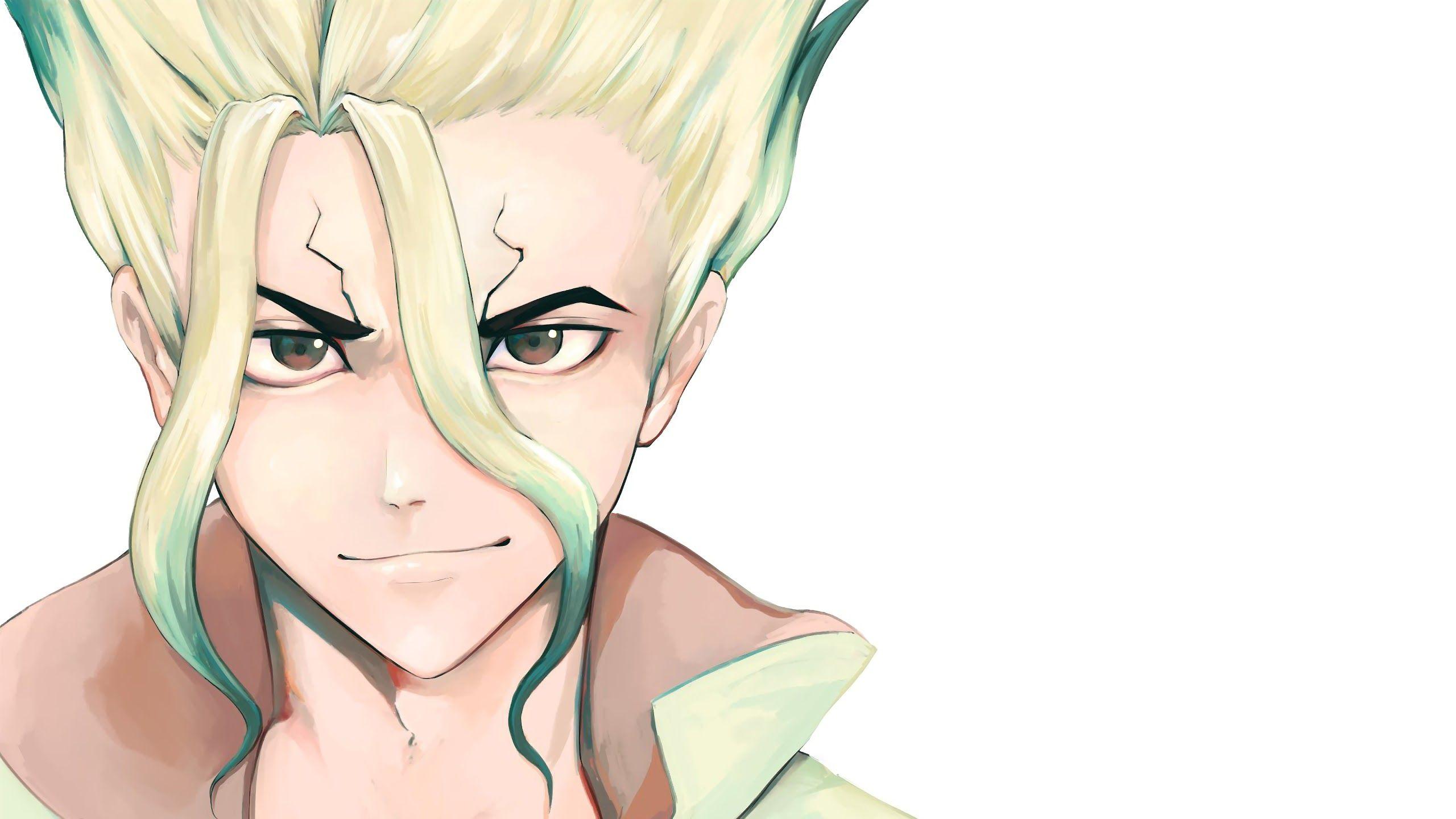 2560x1440 Dr. Stone Senku Ishigami 4K Wallpaper
