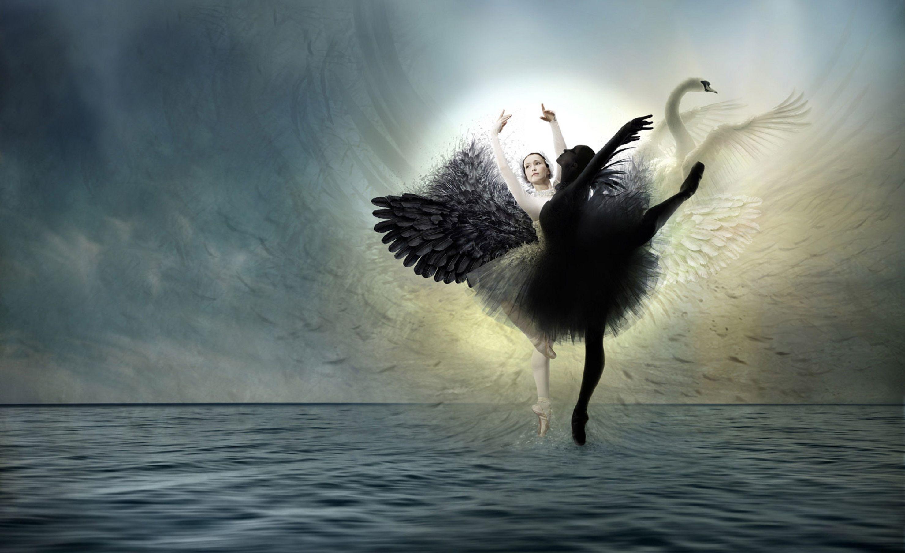 2958x1807 Swan Art Wallpaper