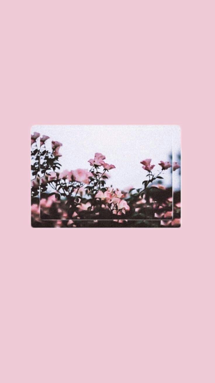 Featured image of post The Best 27 Pink Tumblr Cute Aesthetic Wallpapers