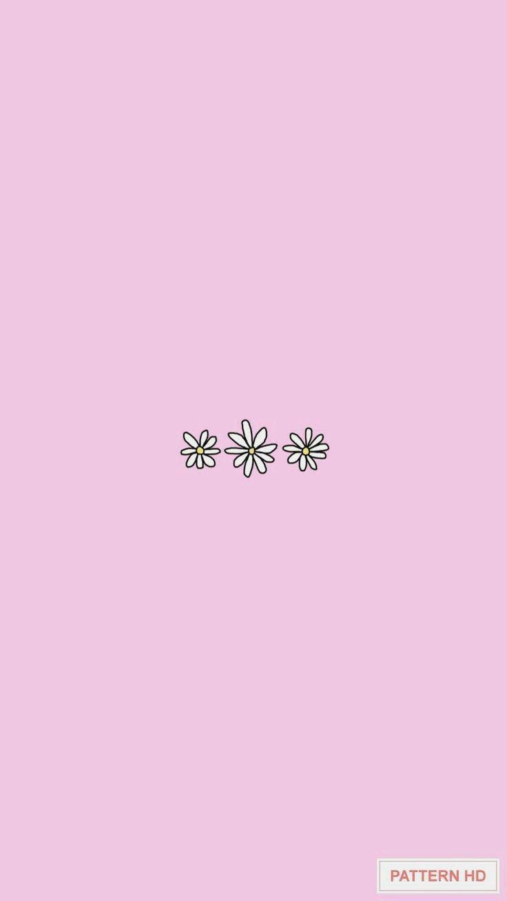 Pink Aesthetic Tumblr Wallpapers Top Free Pink Aesthetic Tumblr