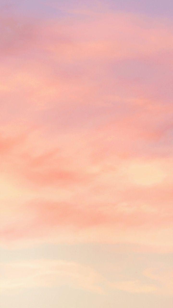 41000 Peach Color Background Pictures