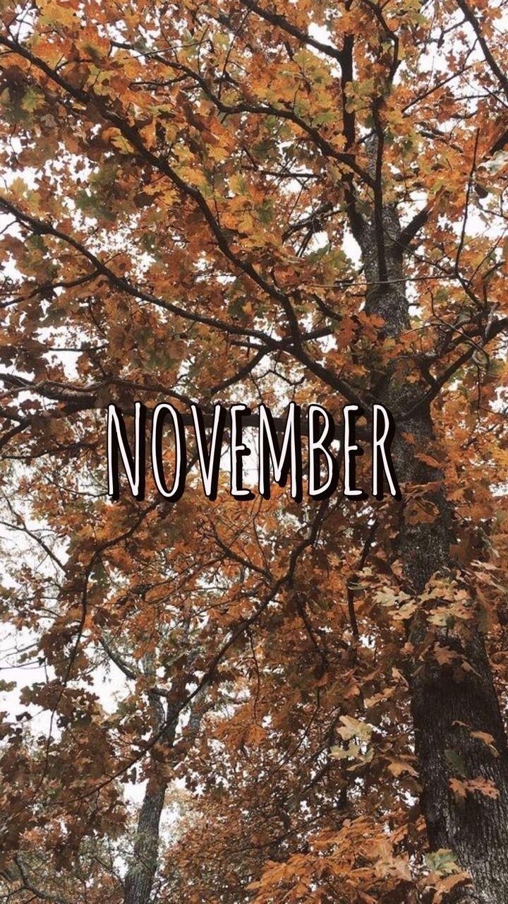 November Aesthetic  Wallpapers  Top Free November 