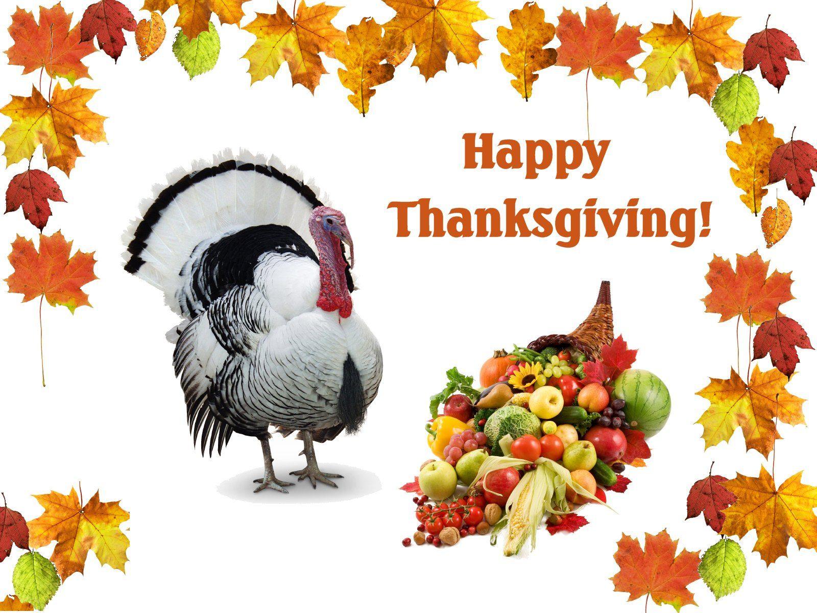 1600x1200 Happy Thanksgiving Day Turkey Desktop Wallpaper