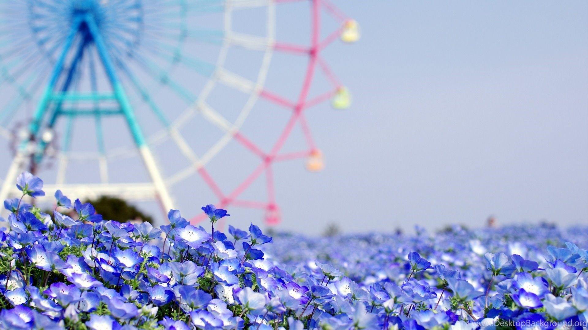 1920x1080 Flower Background Wallpaper Tumblr