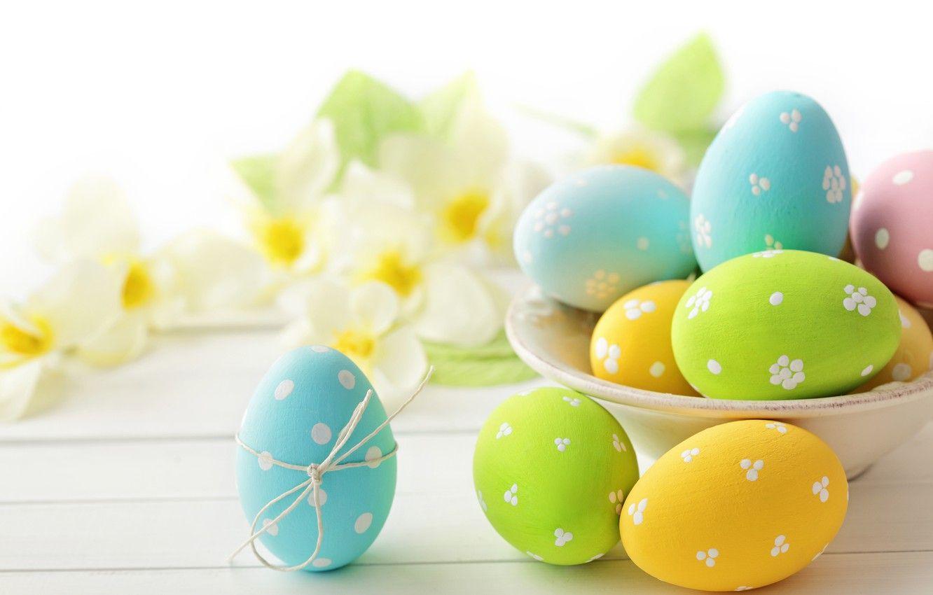 Pastel Easter Egg Wallpapers Top Free Pastel Easter Egg Backgrounds