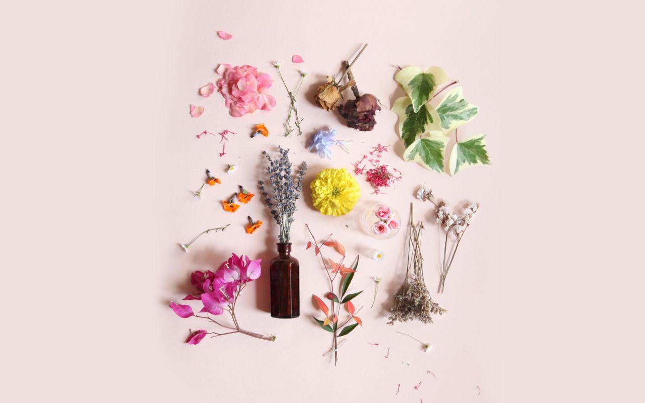 Floral Tumblr Desktop Wallpapers Top Free Floral Tumblr Desktop