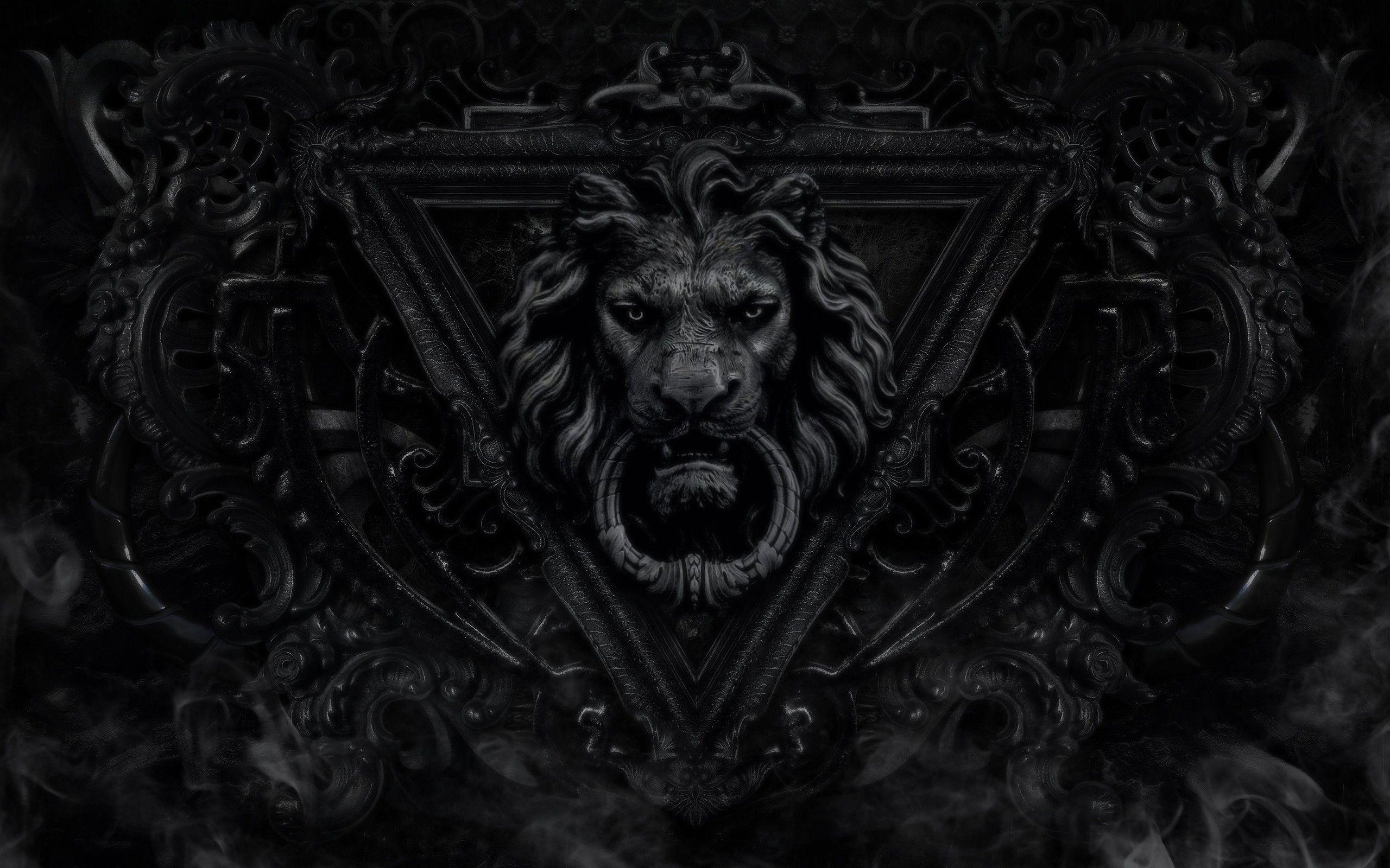 2560x1600 Black Lion HD Wallpaper