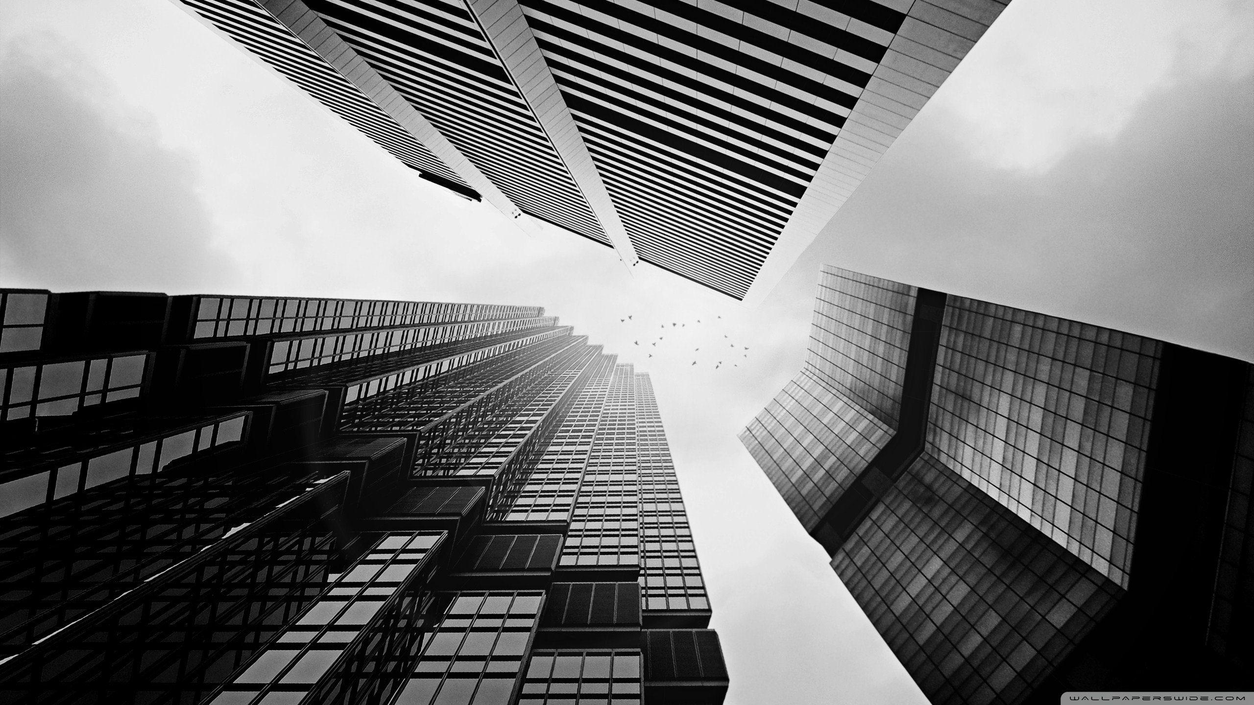 2560x1440 Wallpaper Black And White