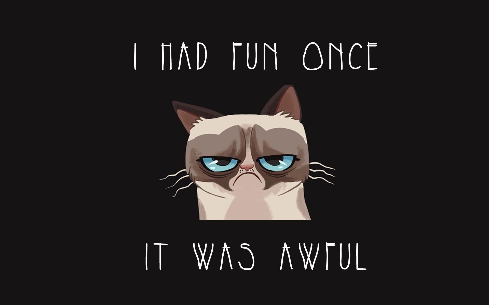 Grumpy Cat Cartoon Wallpapers - Top Free Grumpy Cat Cartoon Backgrounds