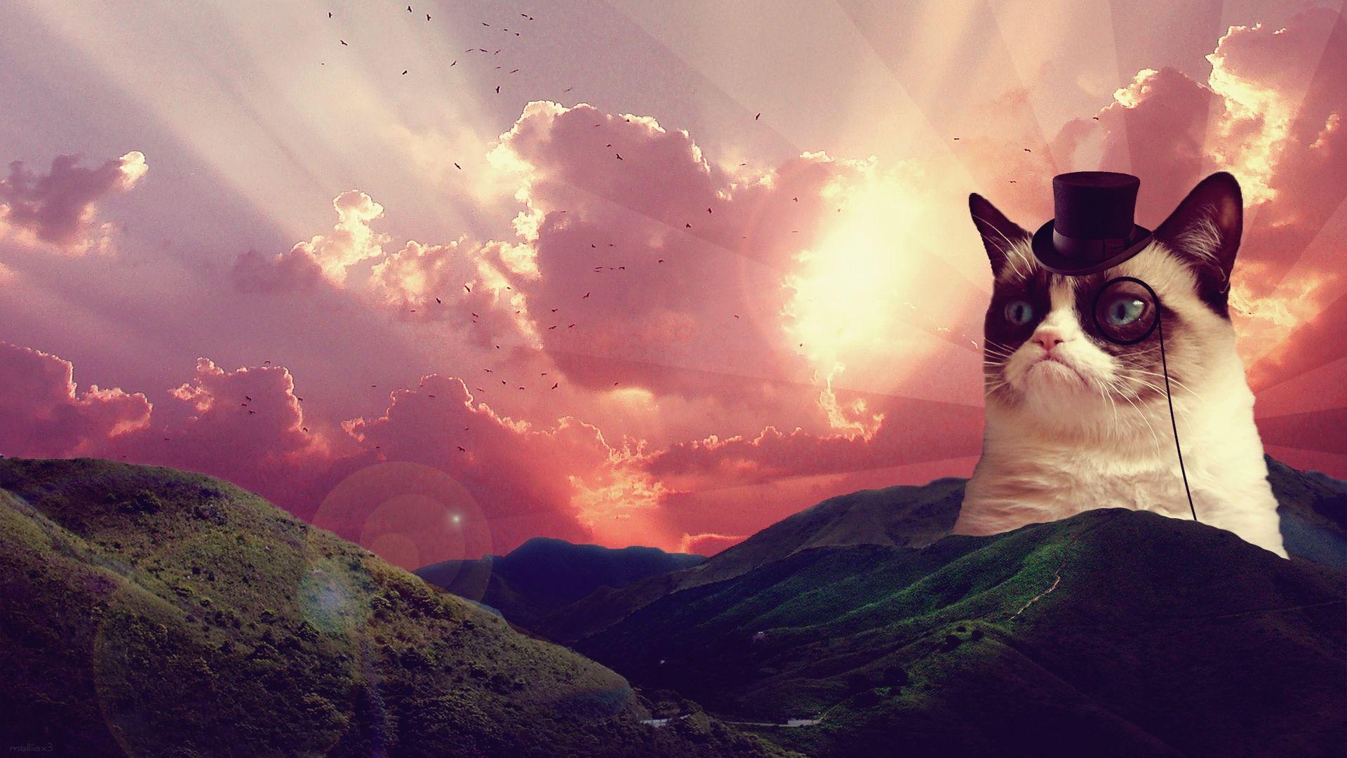 1920x1080 Grumpy Cat Valentine Wallpaper