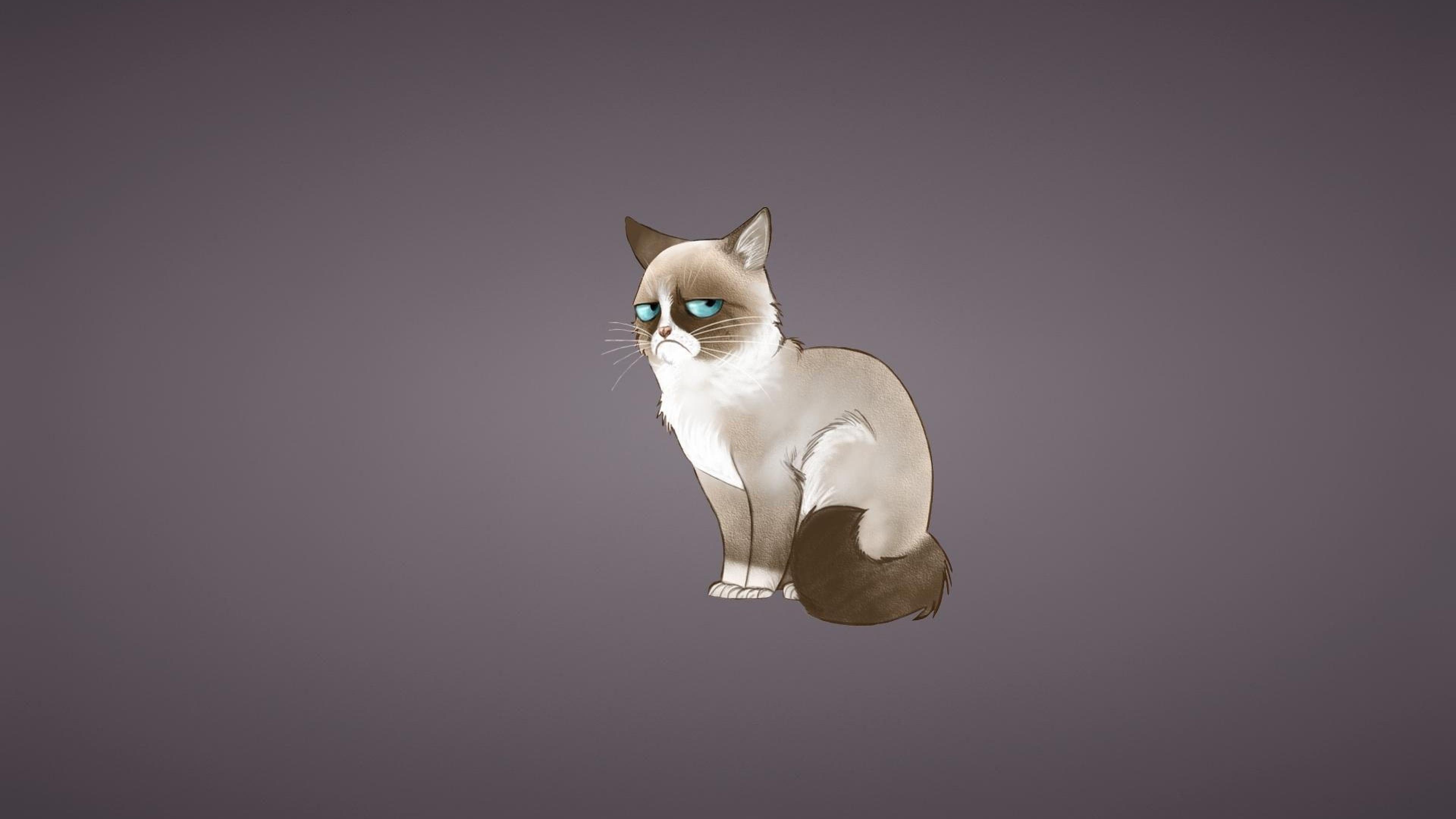 3840x2160 Grumpy Cat iPhone Wallpaper