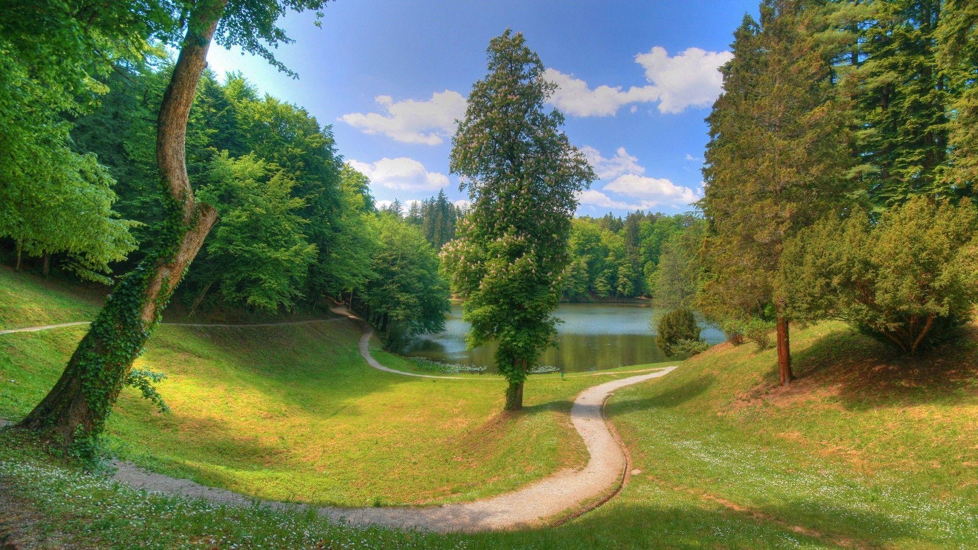 1920x1080 Nature Desktop Wallpaper