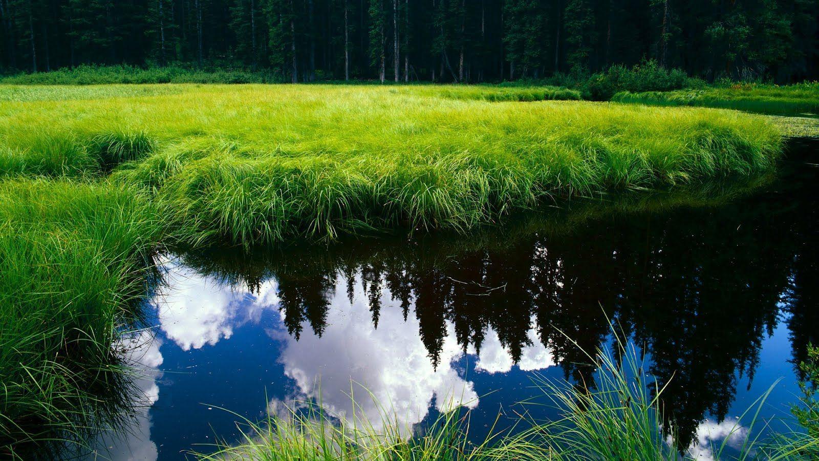 1600x900 Download Nature Wallpaper Full HD 1080p Photo Desktop