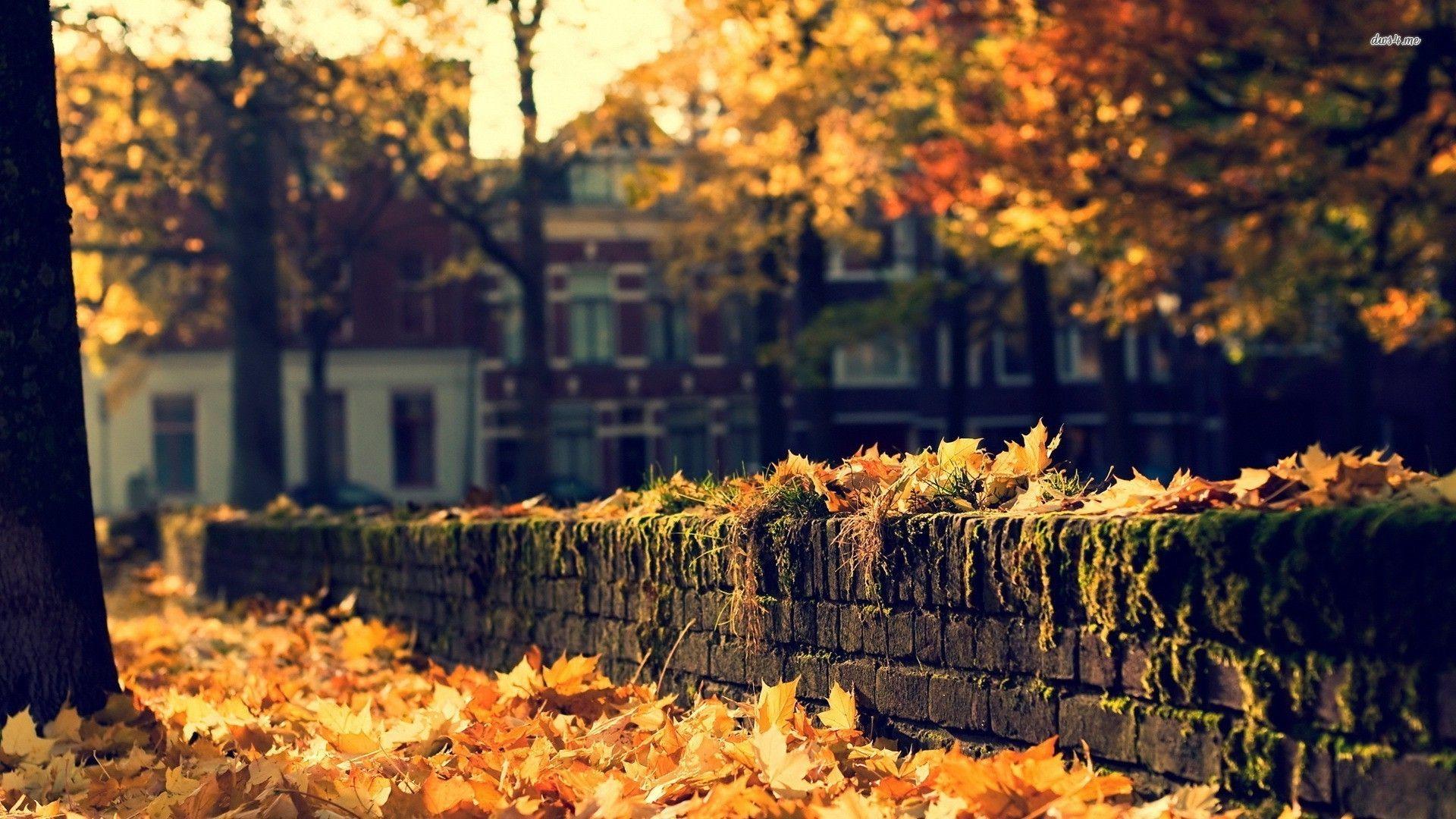 Cozy Autumn Wallpapers - Top Free Cozy Autumn Backgrounds - WallpaperAccess