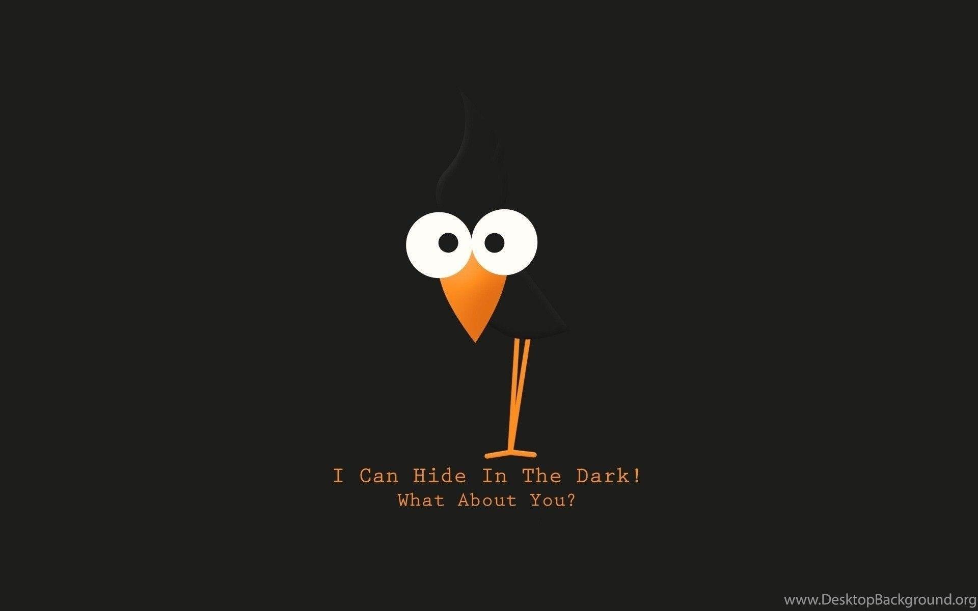 1920x1200 Funny Desktop Wallpaper, Picture