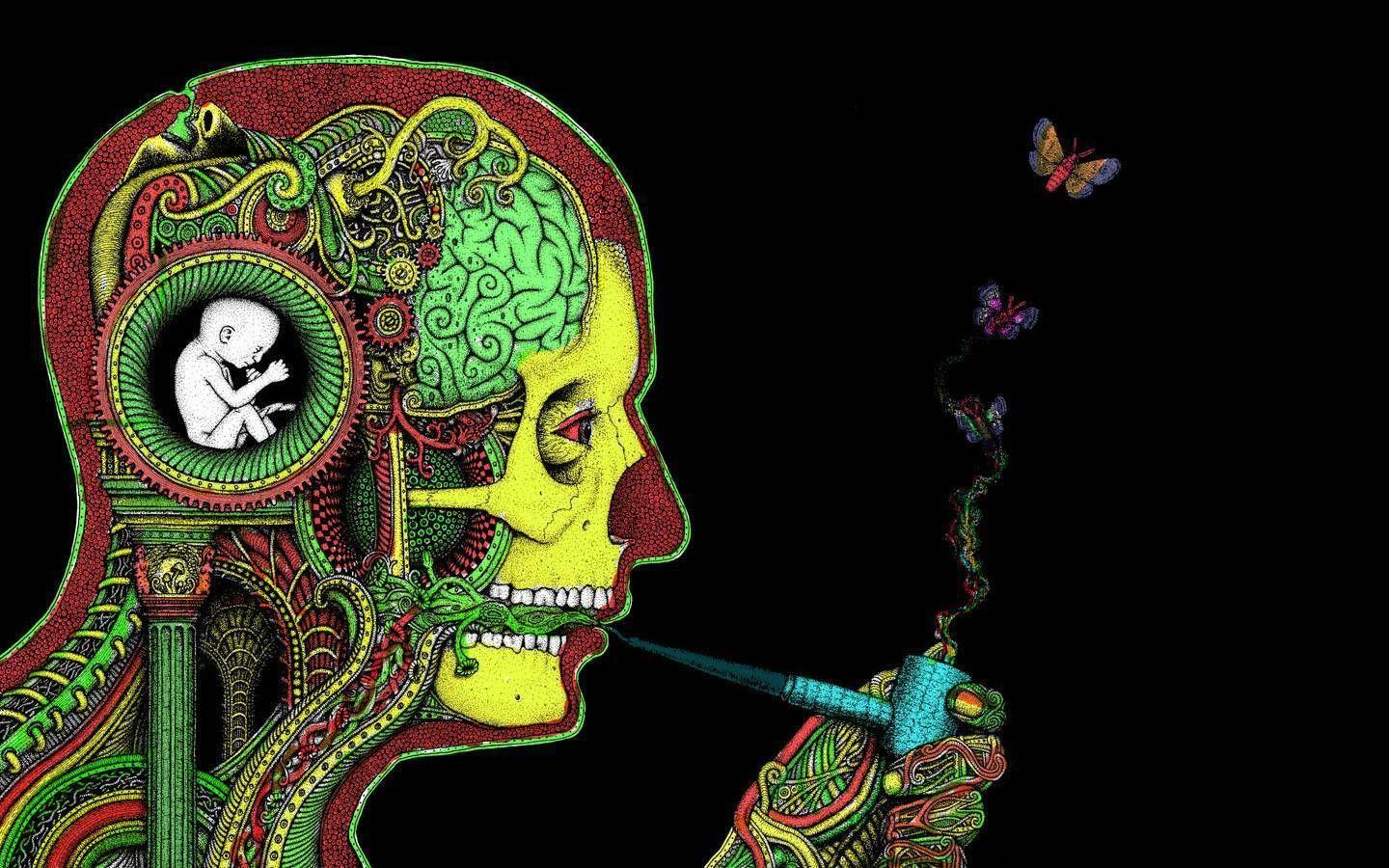 1440x900 Full HD p Crazy Wallpaper HD Desktop Background x
