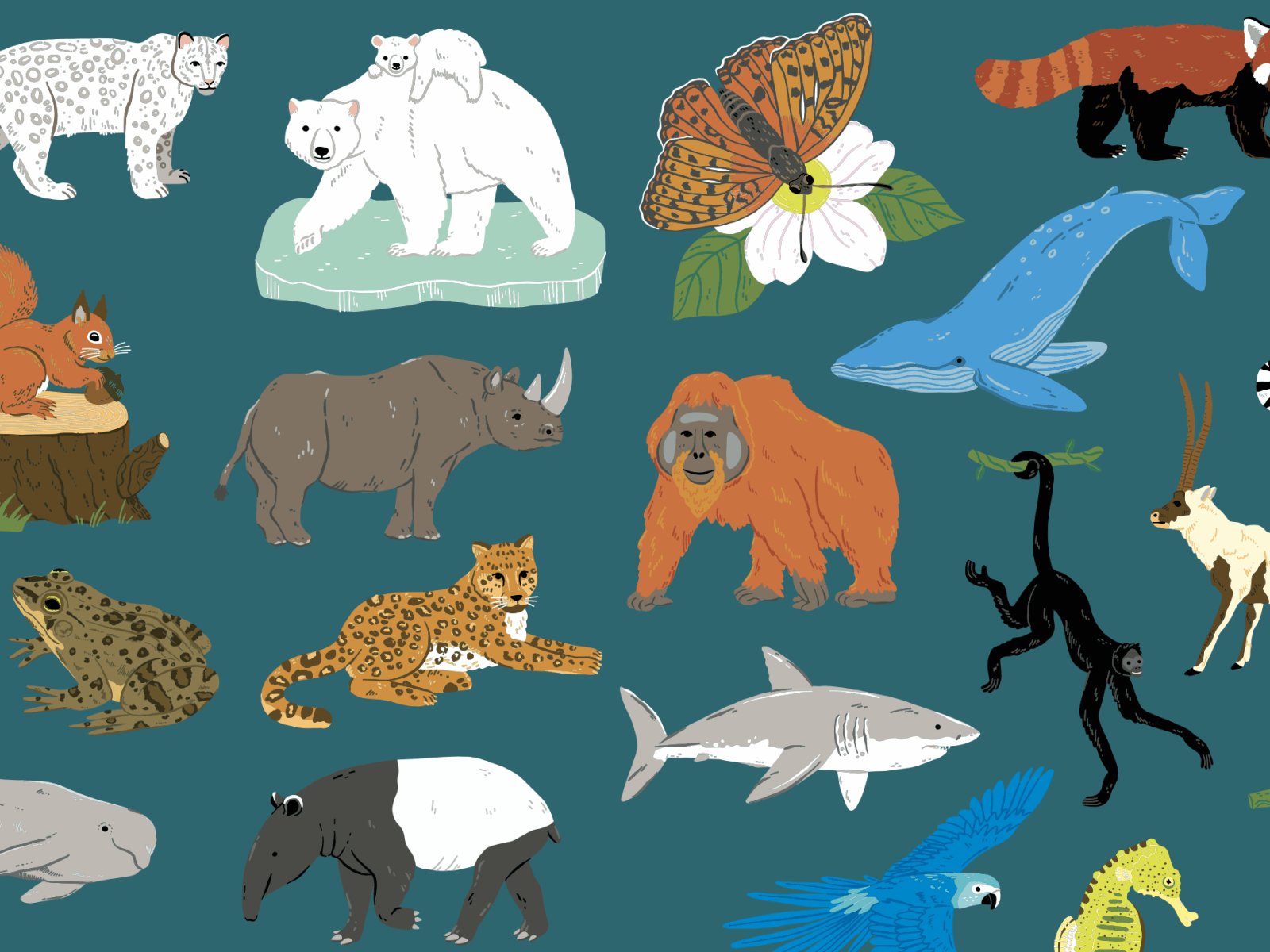 1600x1200 Endangered Animals Illustrations