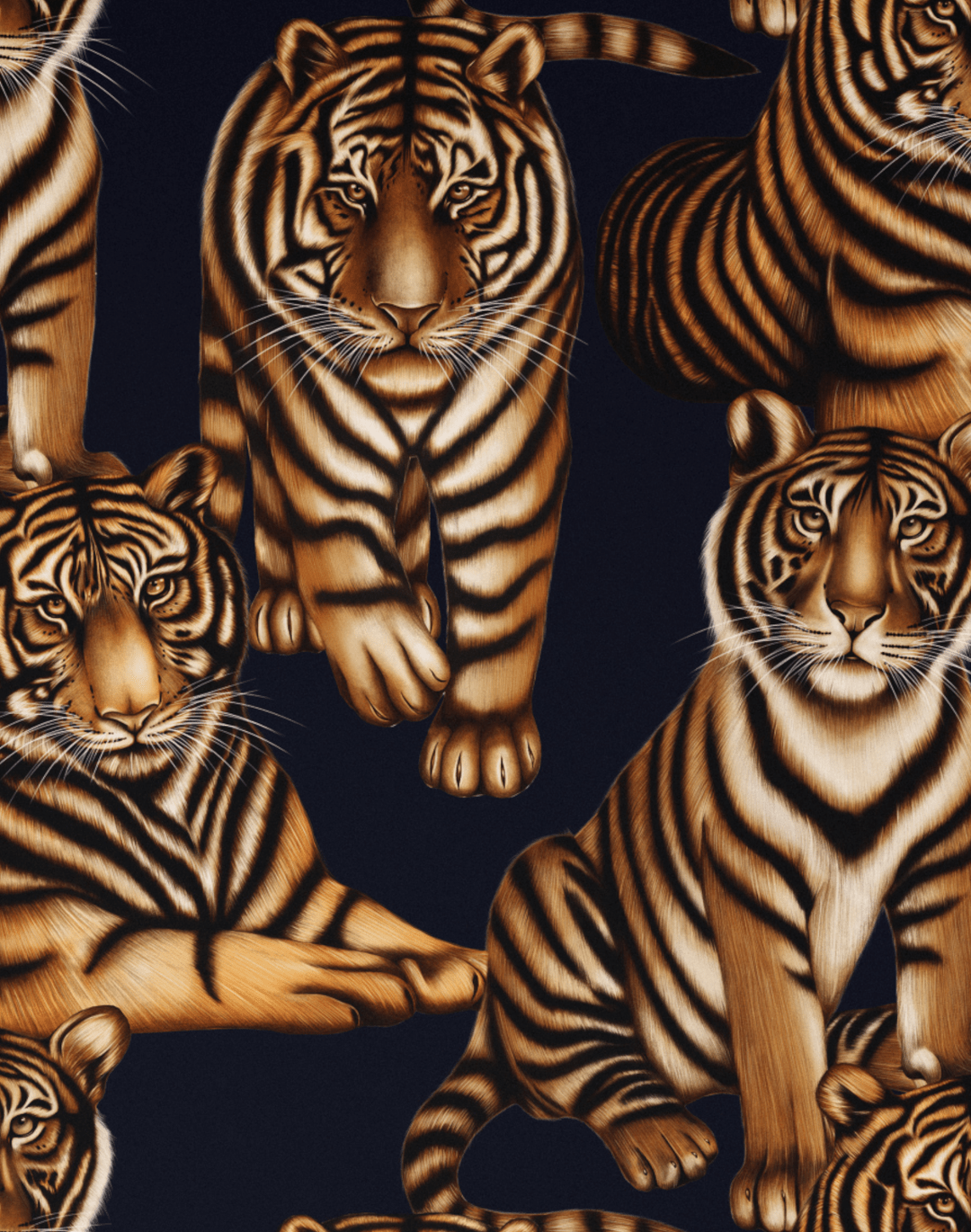 1080x1370 Tiger Tiger