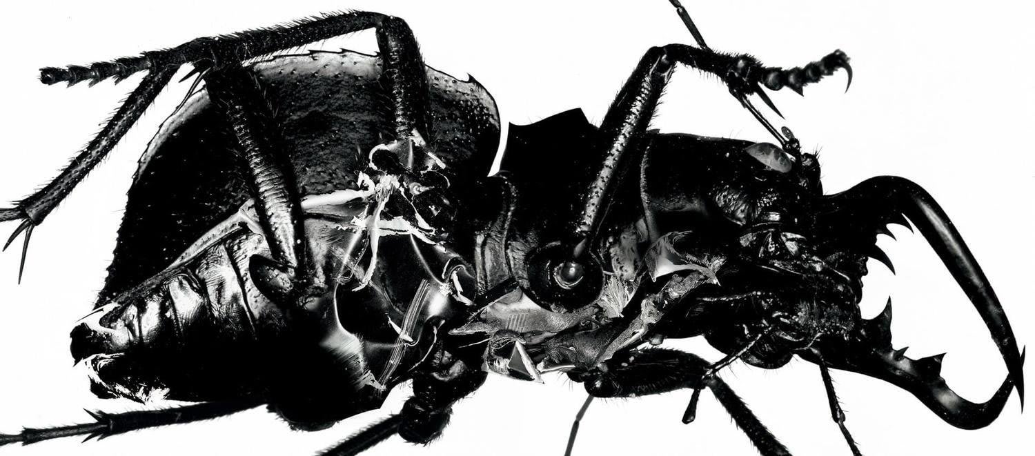 1500x661 Best albums of 1998: 8 that still sound