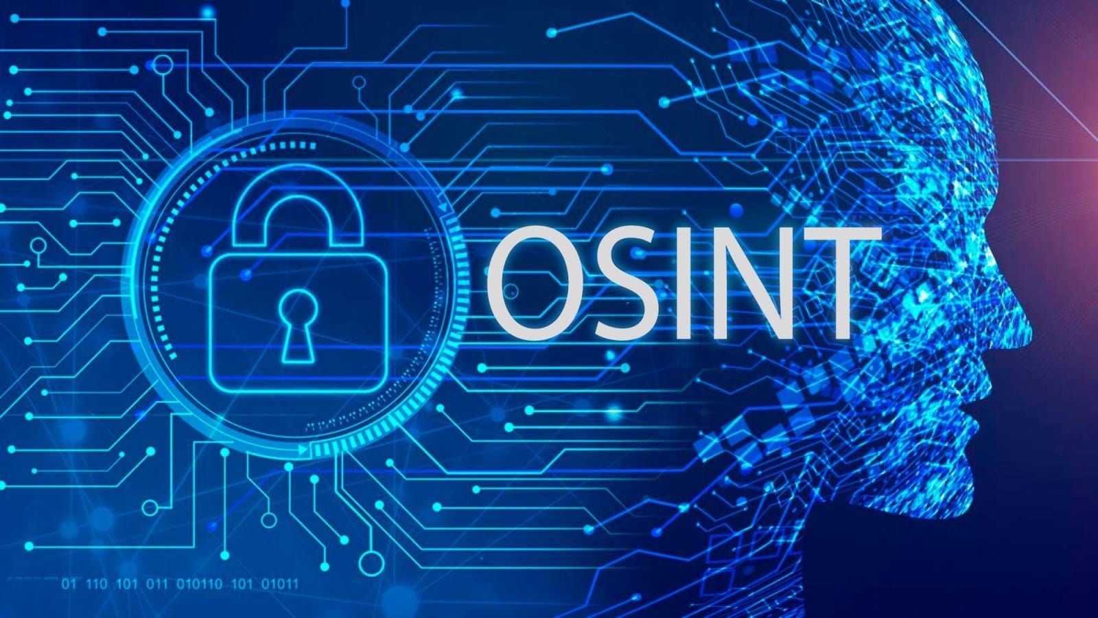 Osint Wallpapers Top Free Osint Backgrounds Wallpaperaccess