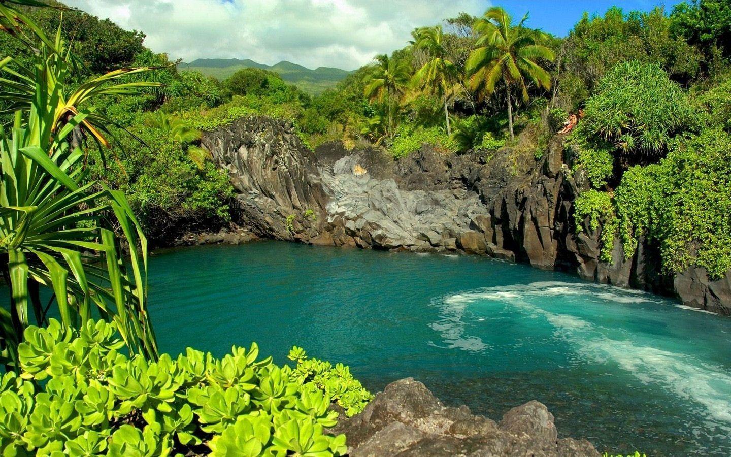 1440x900 HD Wallpaper Of Nature For Desktop