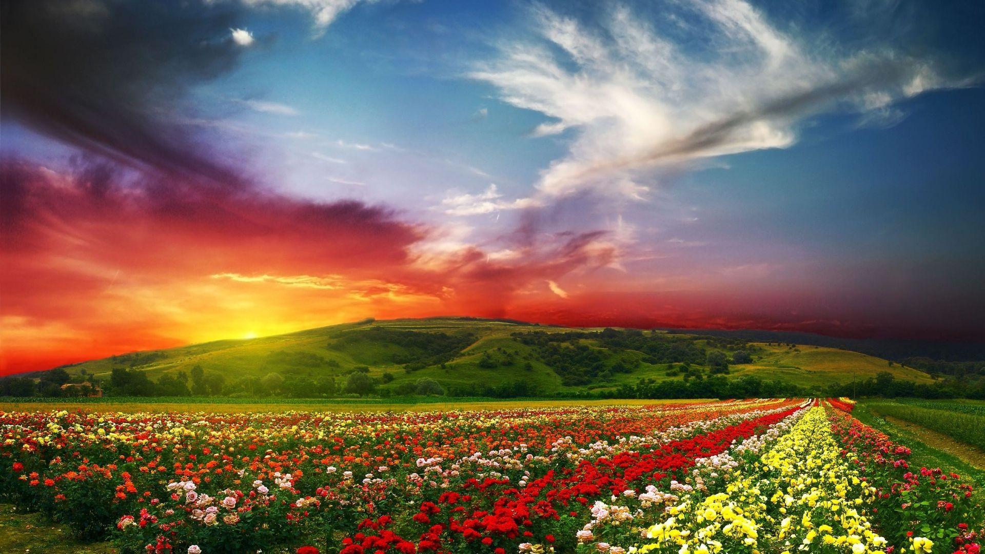 1920x1080 Best Nature Widescreen HD Wallpaper Collection