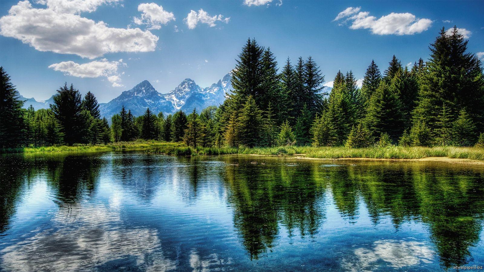 1600x900 Nature HD Wallpaper