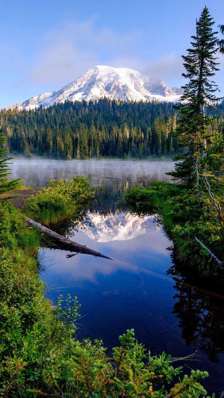 750x1333 Mount Rainier National Park Mobile Phone Wallpaper