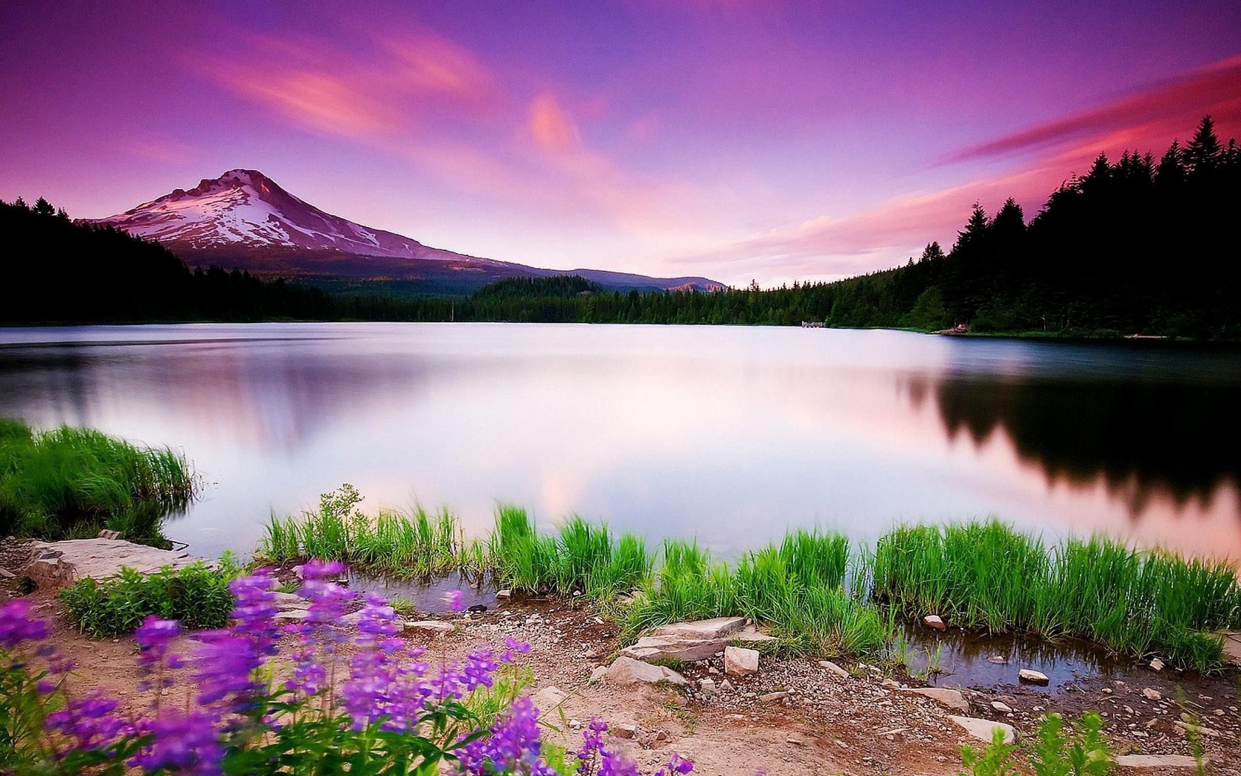 Flowers and Lakes Wallpapers - Top Free Flowers and Lakes Backgrounds