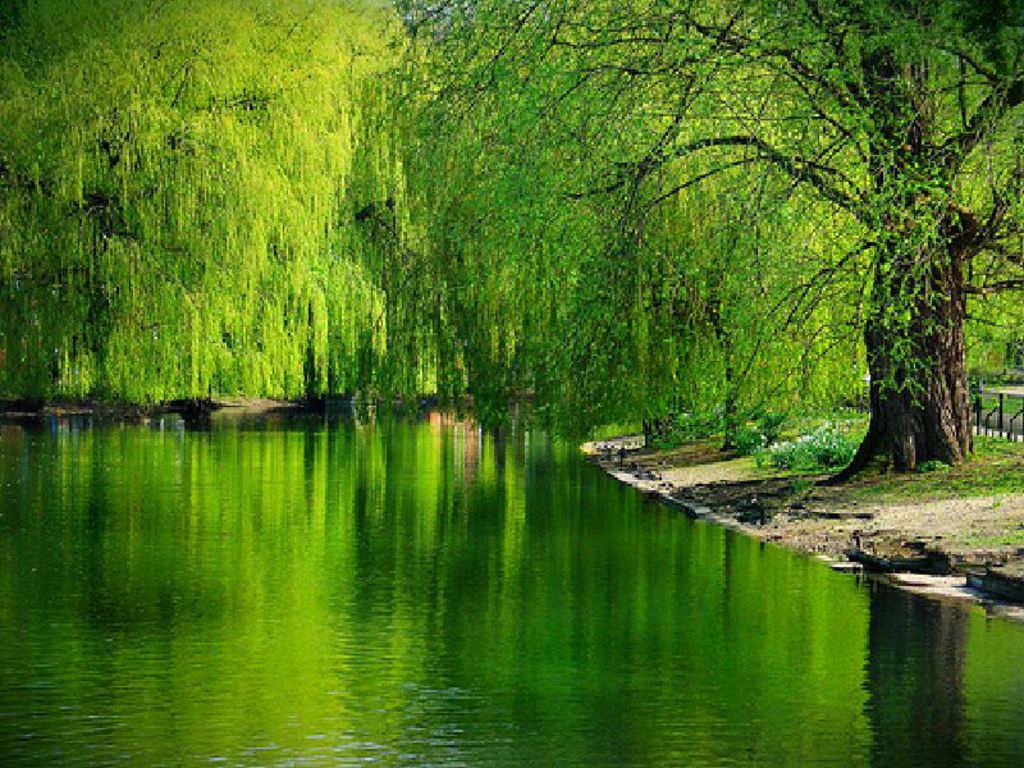 1024x768 Beautiful Lakes Wallpaper Lake HD