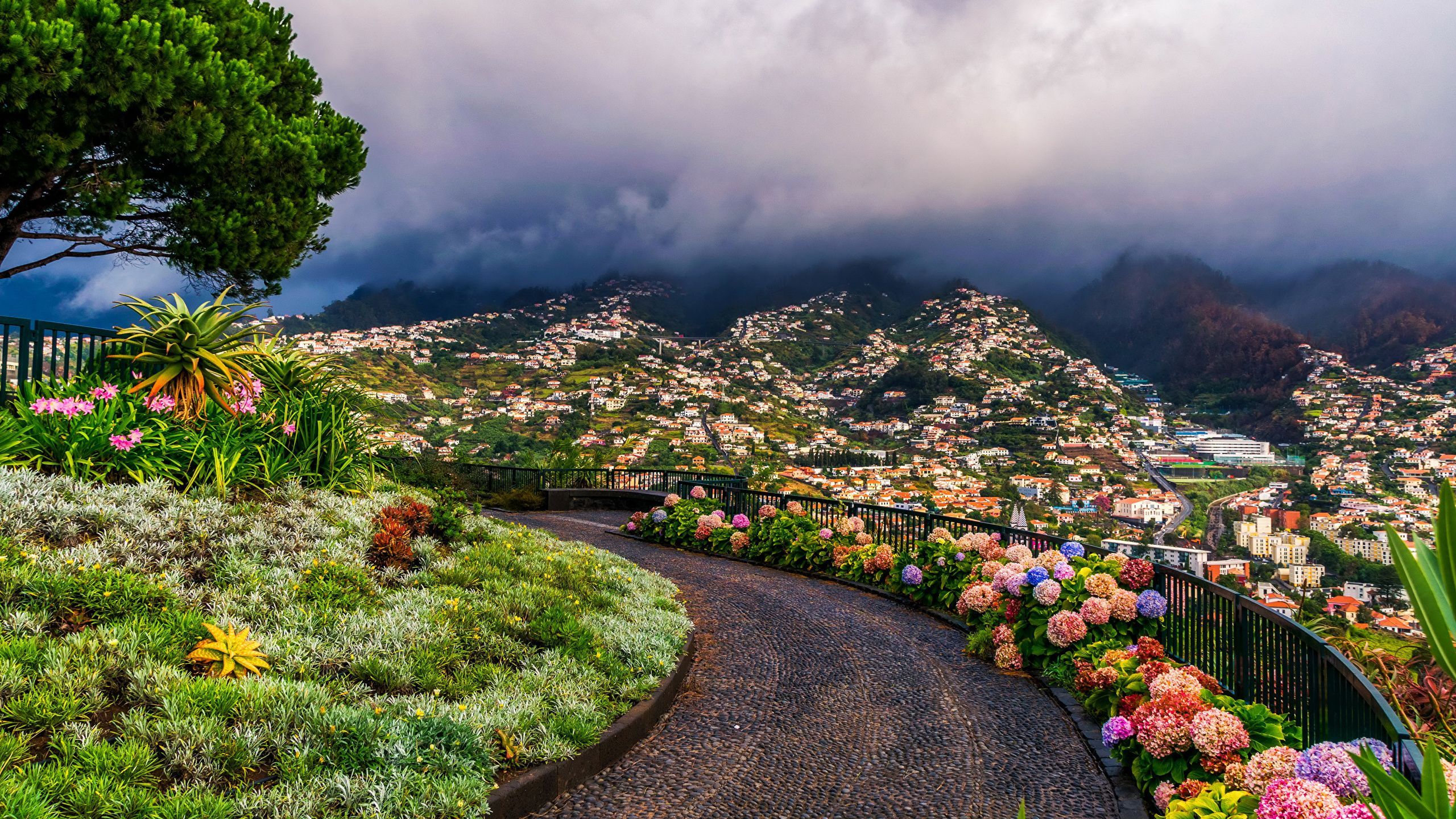 2560x1440 Photos Portugal Funchal Madeira Islands
