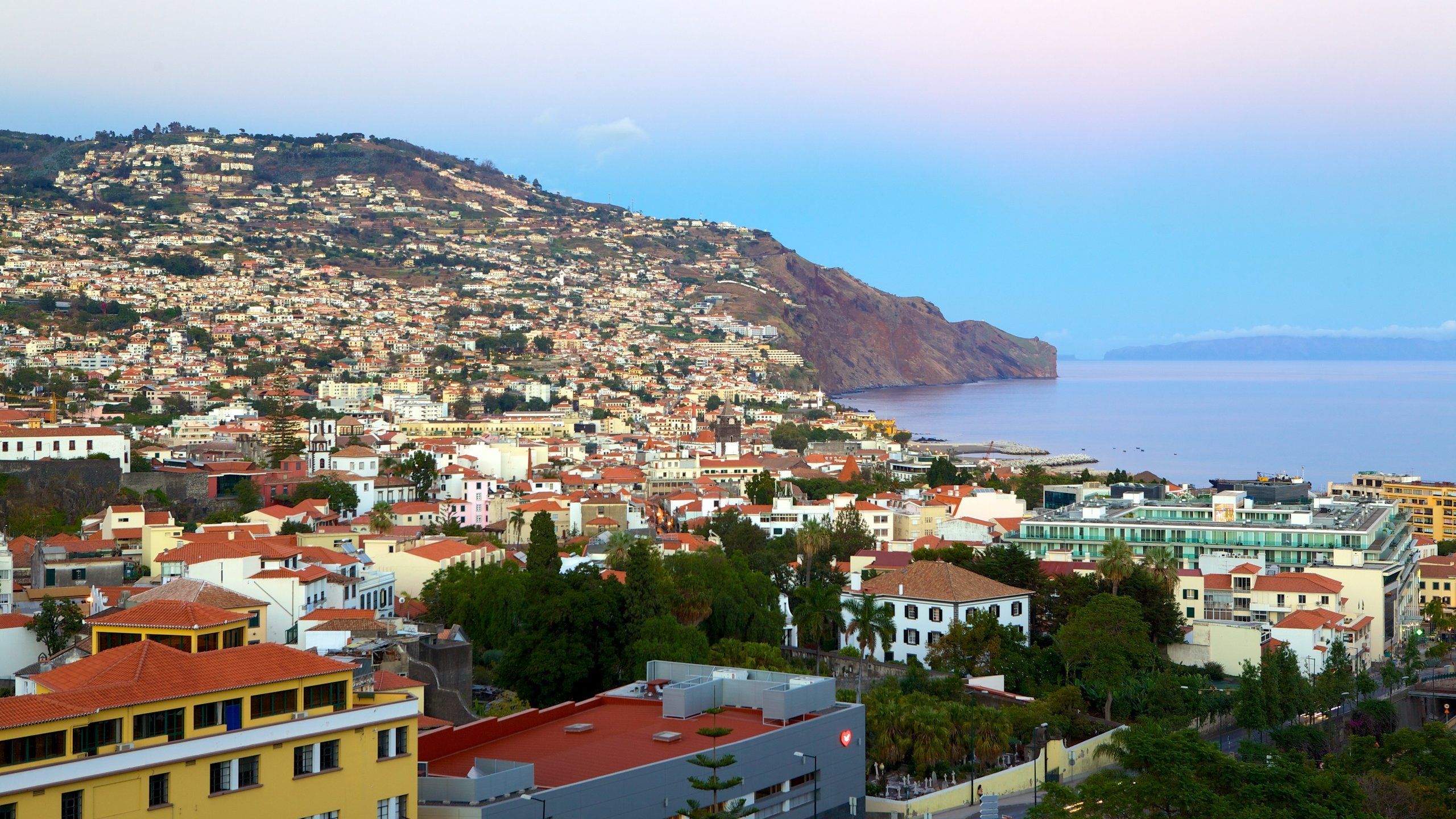 2560x1440 Funchal, Madeira Region