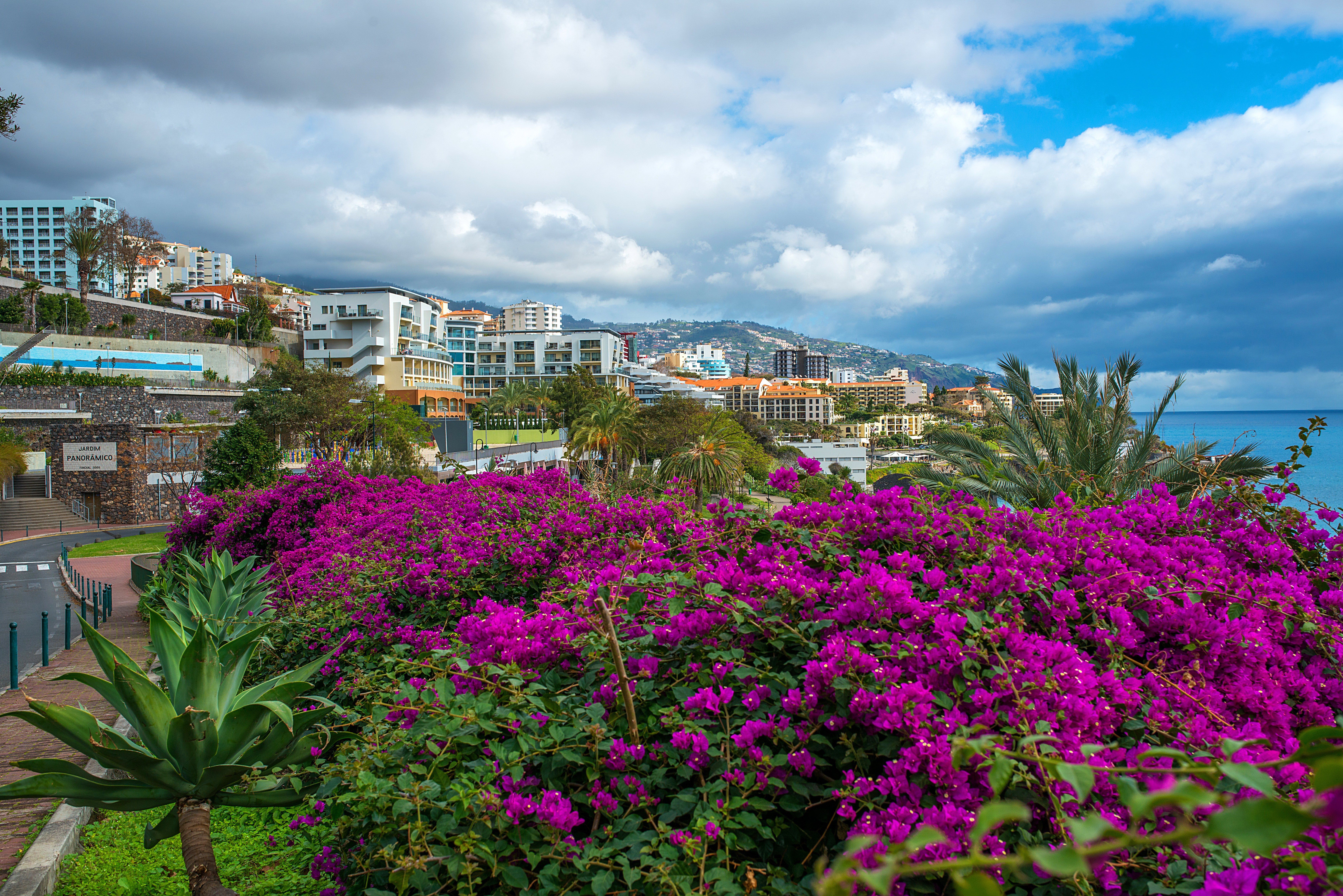 7000x4672 Portugal Houses Bougainvillea Clouds