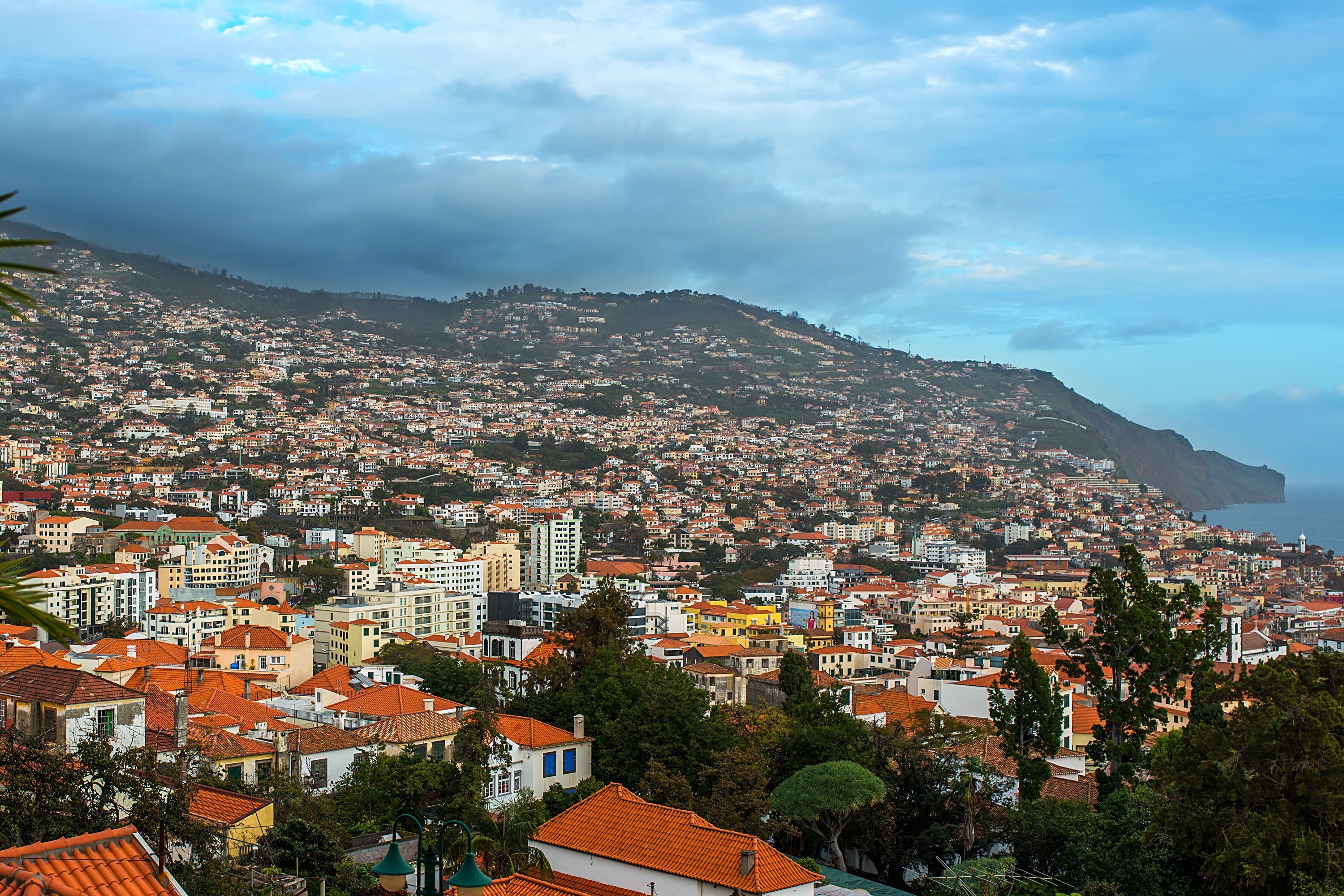 3000x2000 Picture Portugal Funchal Madeira From