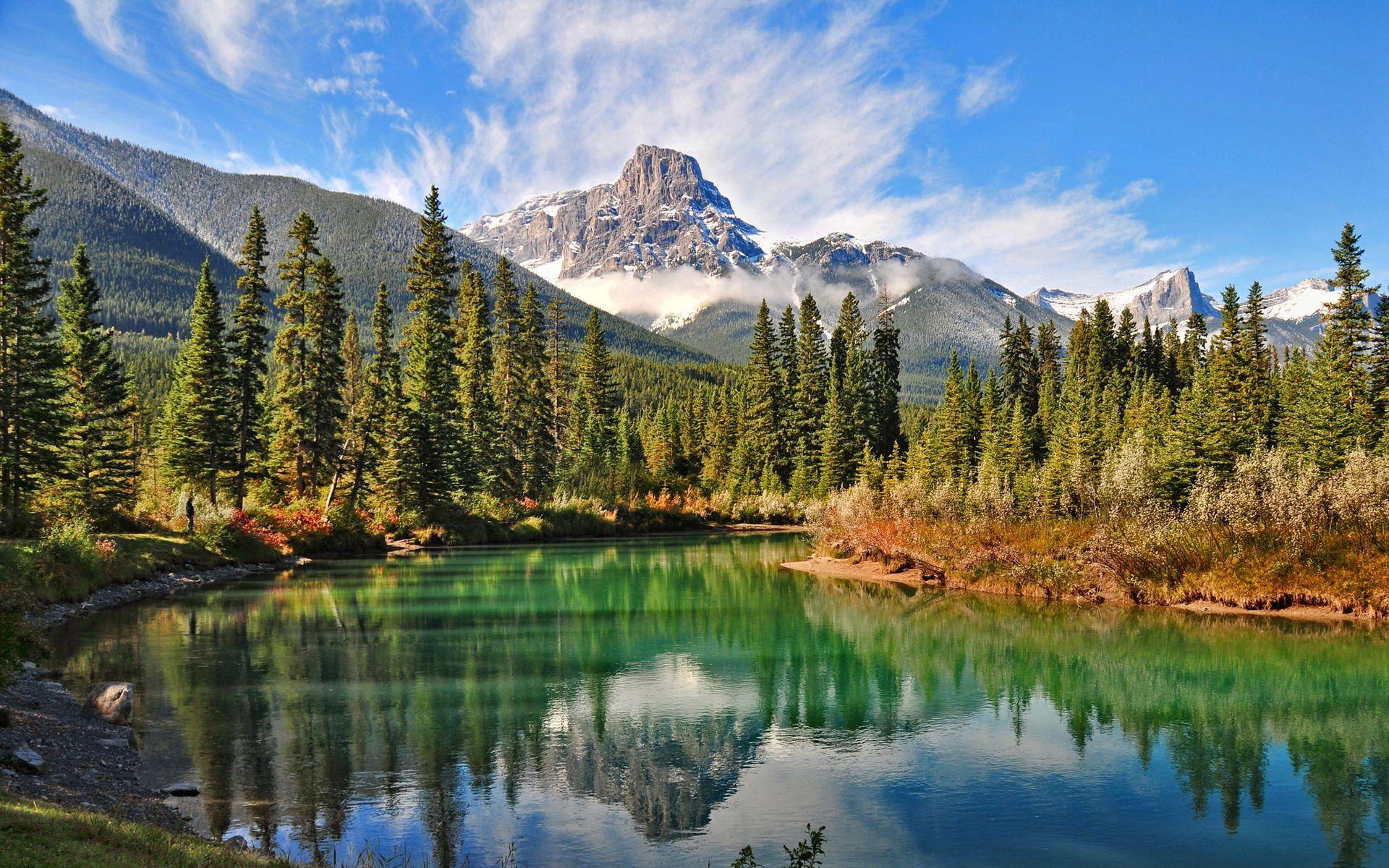 Canada Forest Wallpapers Top Free Canada Forest Backgrounds