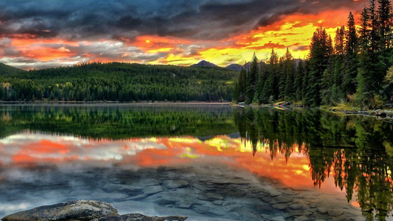 Canada Forest Wallpapers - Top Free Canada Forest Backgrounds ...