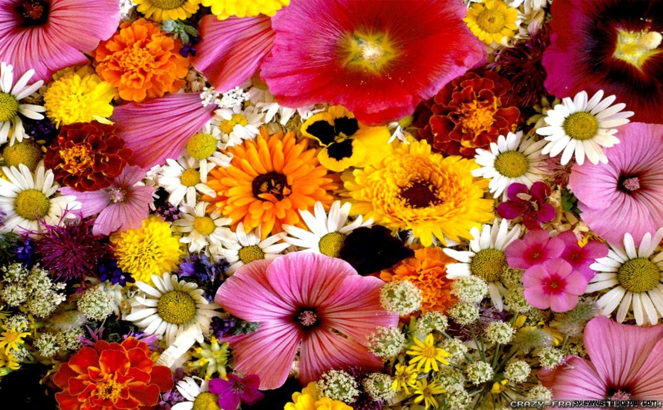 Easter Flowers Wallpapers - Top Free Easter Flowers Backgrounds ...