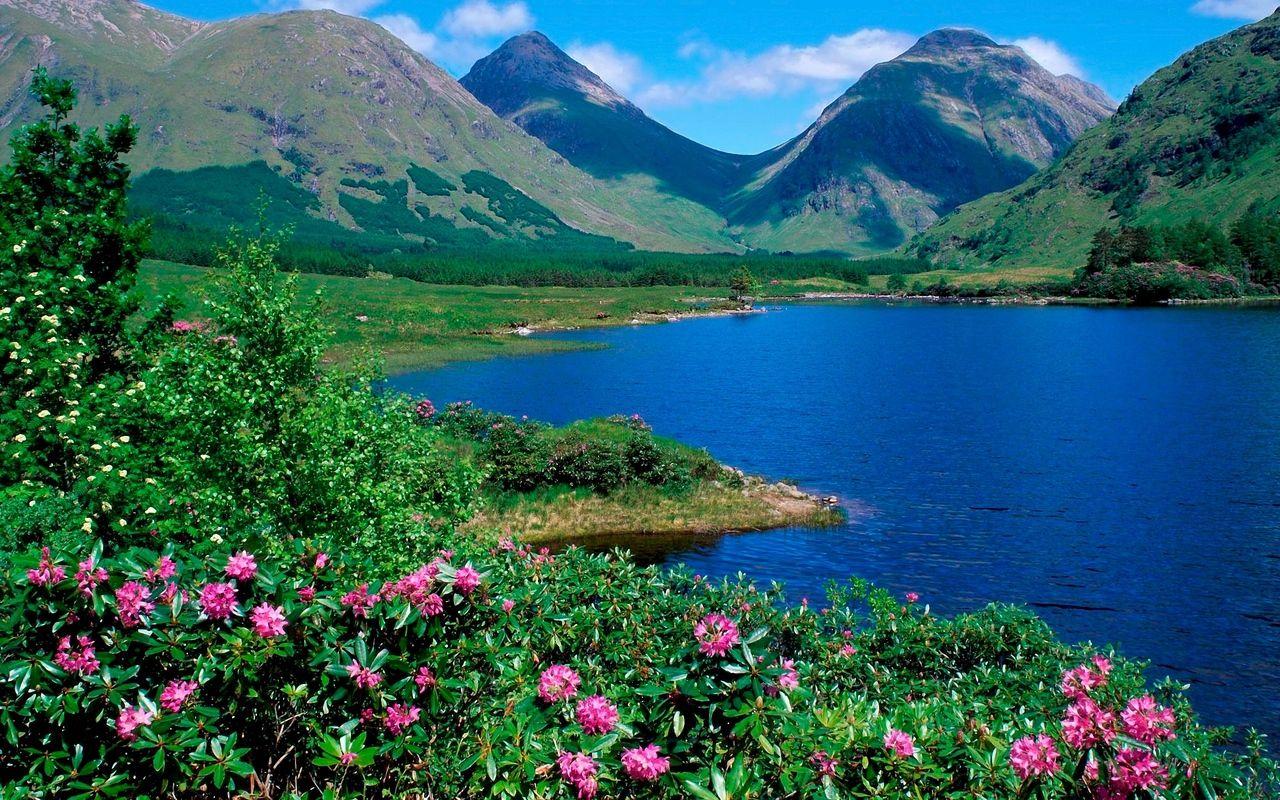 1280x800 Download wallpaper 1280x800 mountains, lake, flowers, slopes