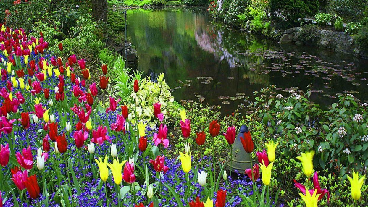 1244x700 Forest Floral Carpet Sunny Calm Lake .