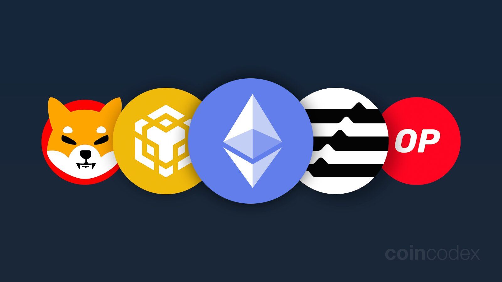 1600x900 Best Altcoins to Buy: Top Altcoins