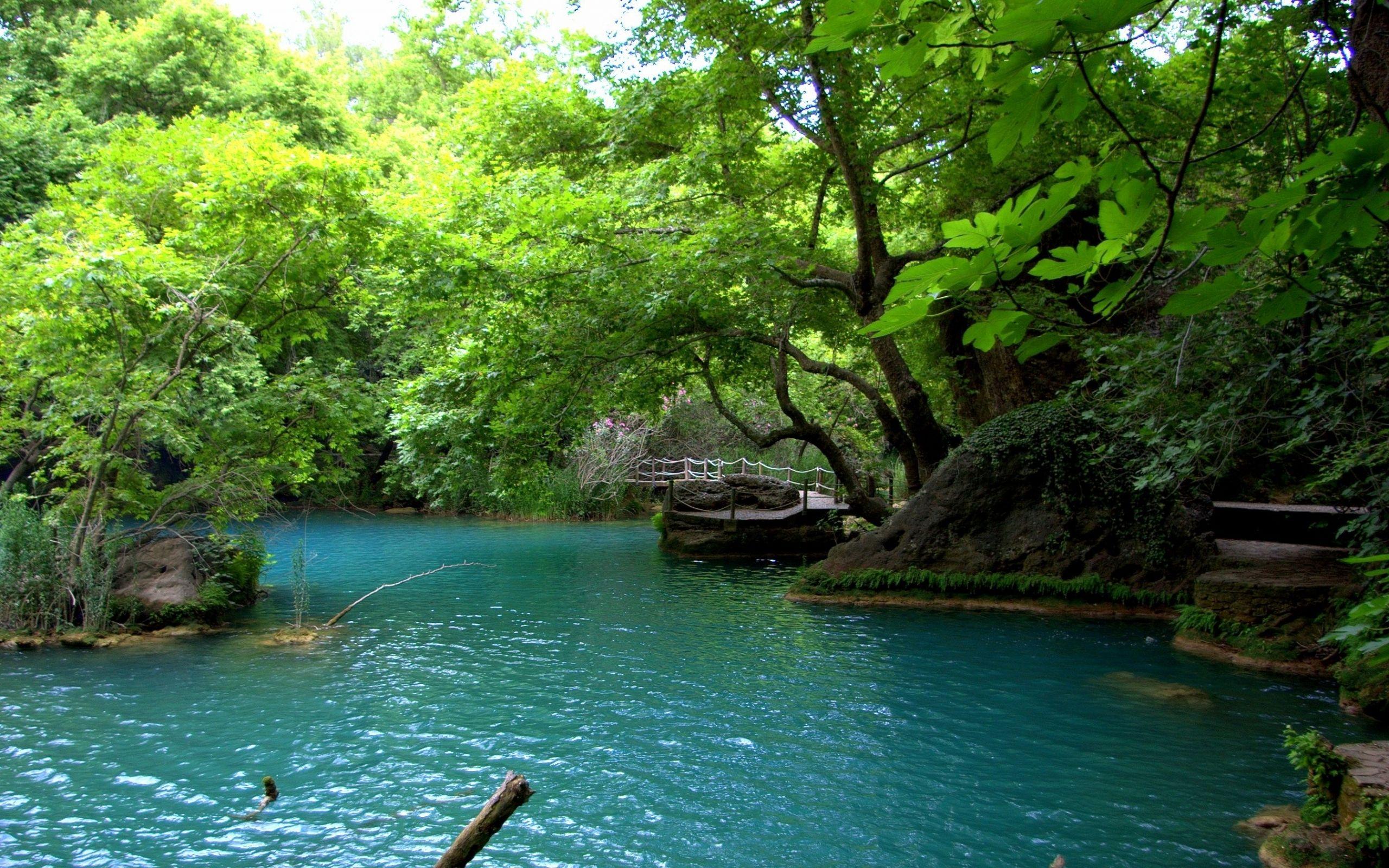 2560x1600 Beautiful Lake Nature Photography Picture
