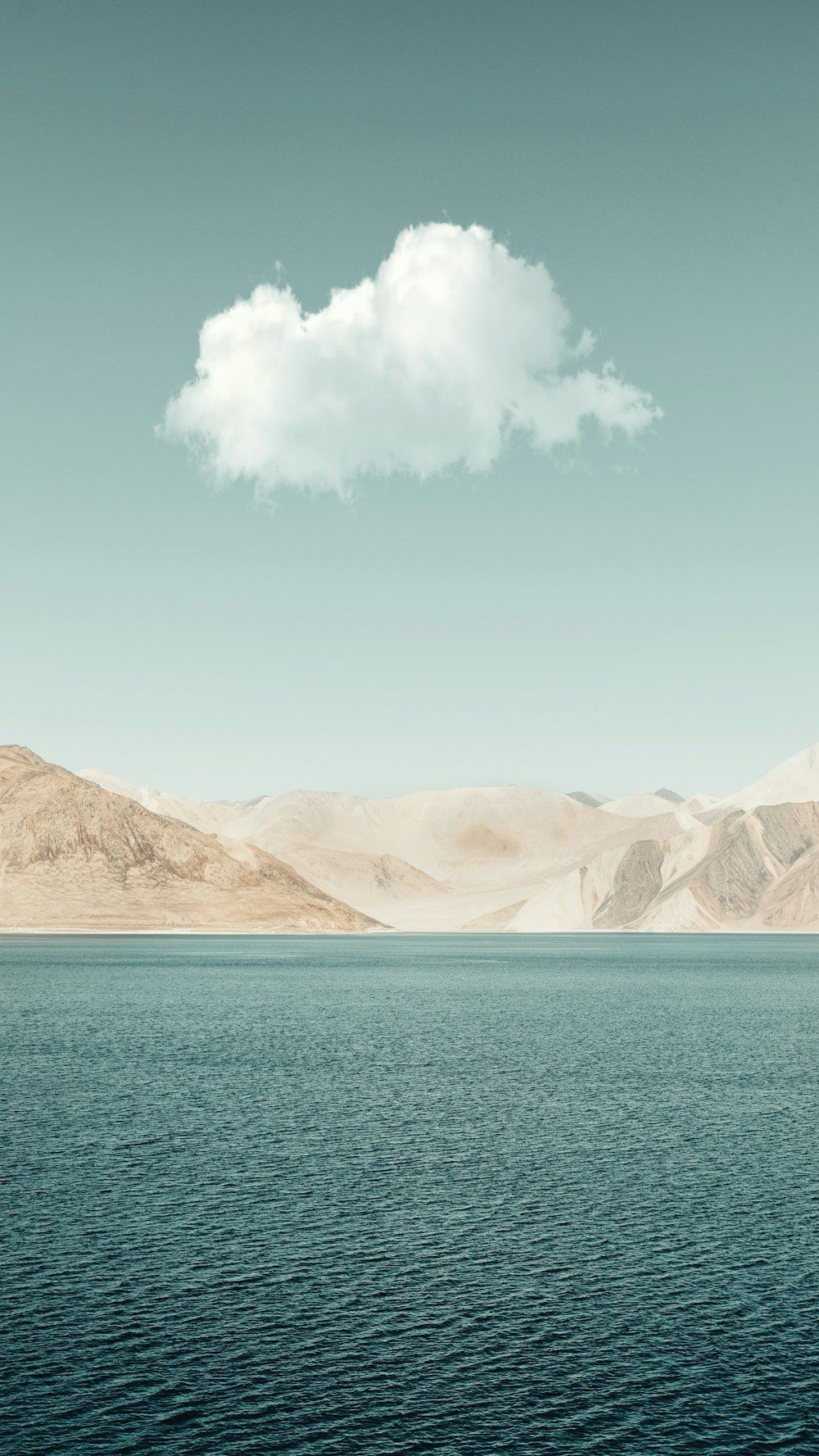 1000x1777 Pangong Lake Picture. Download Free
