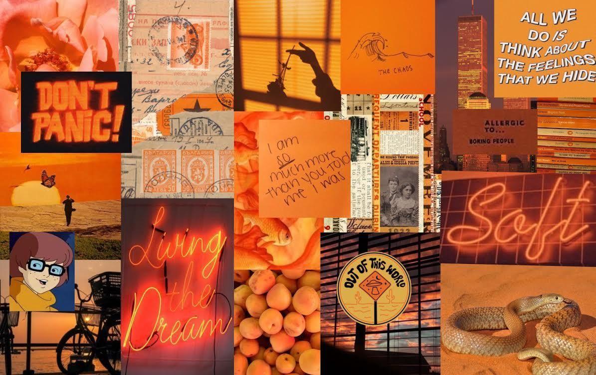 Orange Aesthetic Tumblr Laptop  Background Beautiful Best Available For Orange  Aesthetic Tumblr Laptop On HD wallpaper  Peakpx