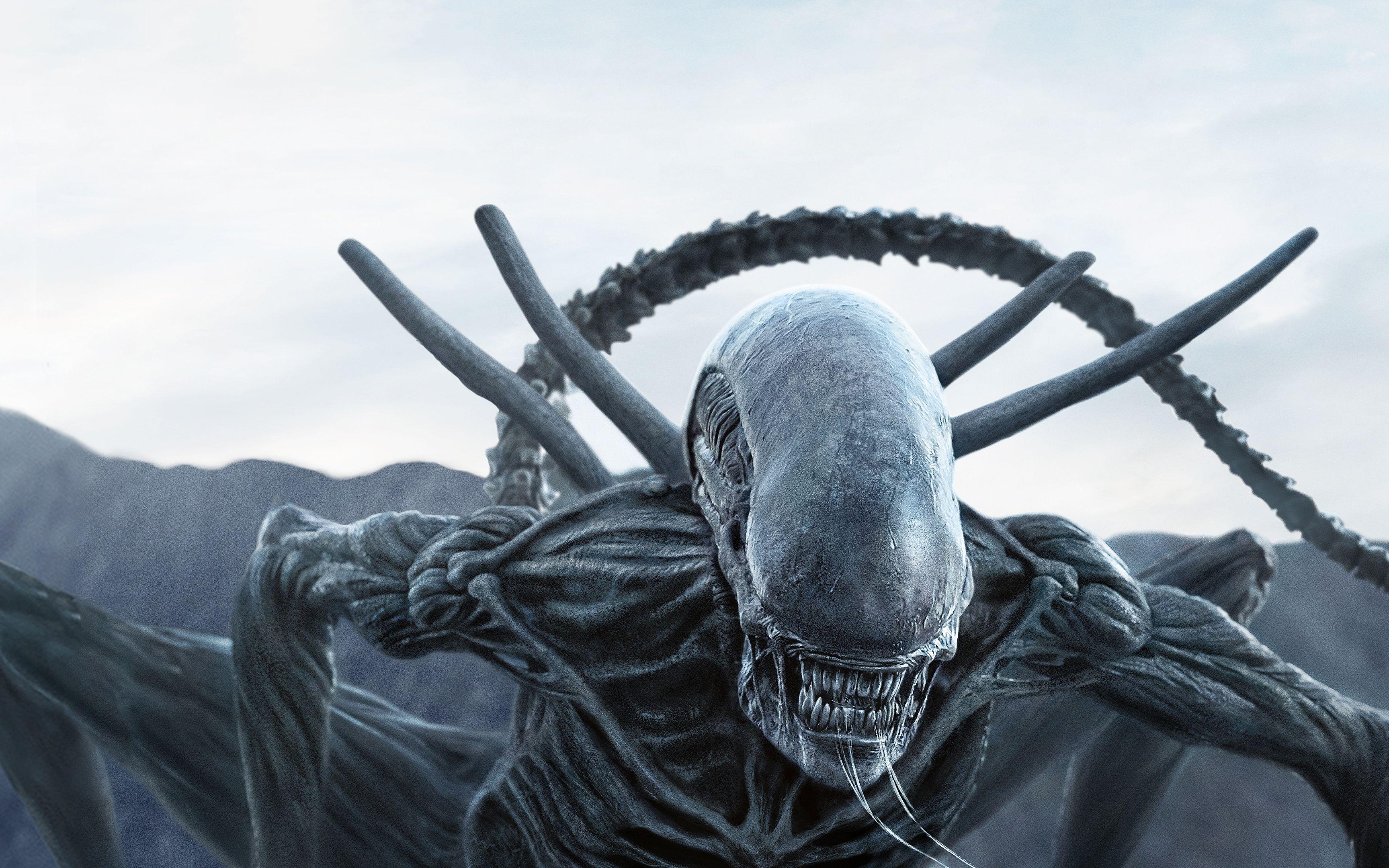 4K Alien Wallpapers - Top Free 4K Alien Backgrounds - WallpaperAccess