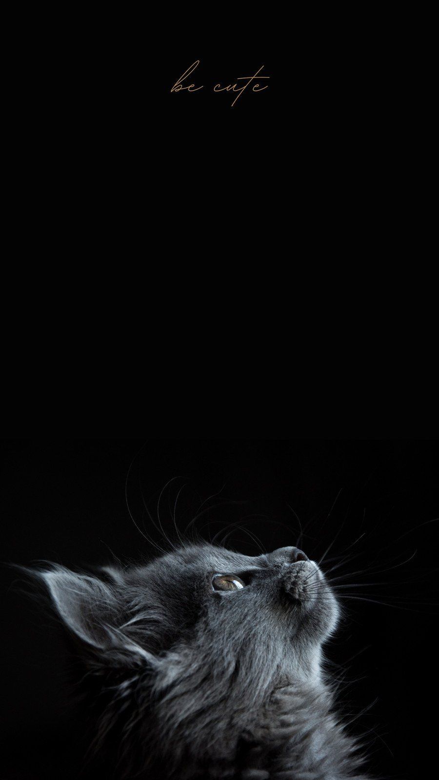 900x1600 Free and customizable black wallpaper templates