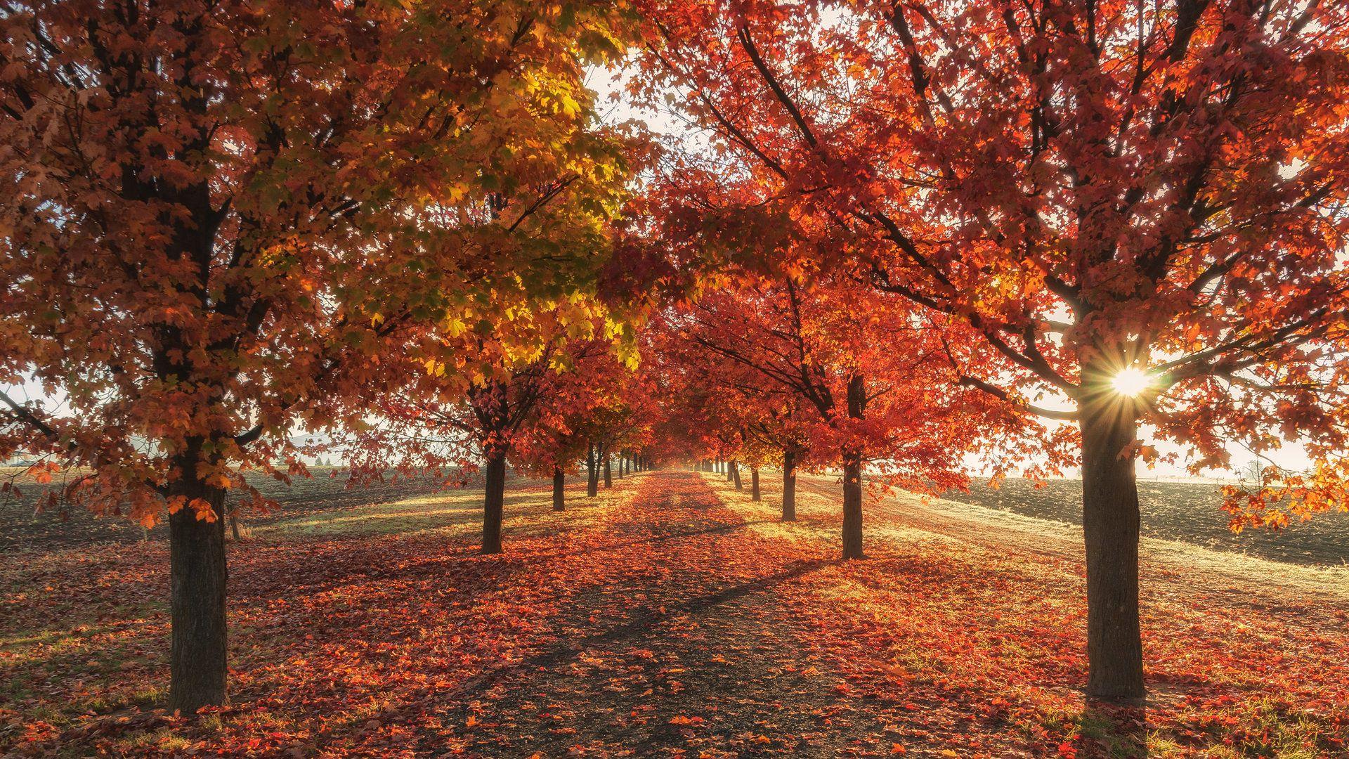 Tumblr Autumn Laptop Wallpapers - Top Free Tumblr Autumn Laptop