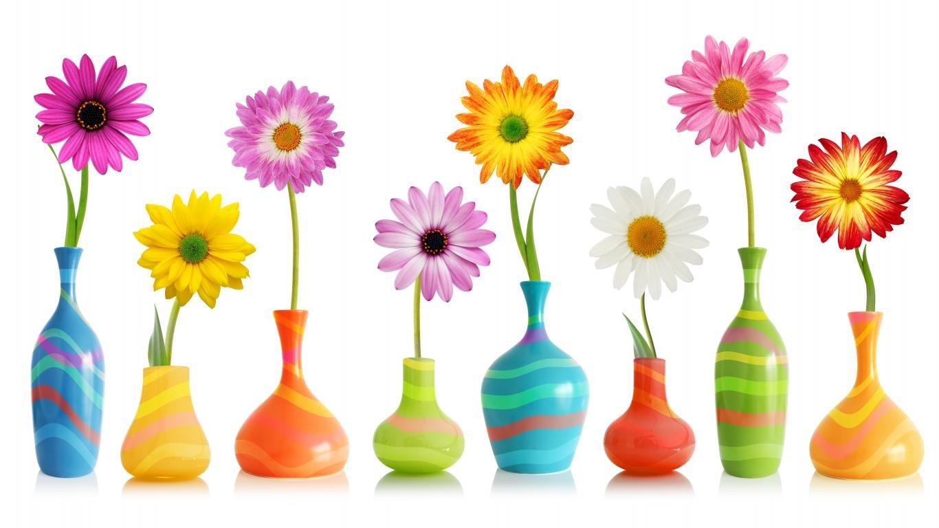 1366x768 Pink Flower wallpaper 1366x768 (laptop) desktop background